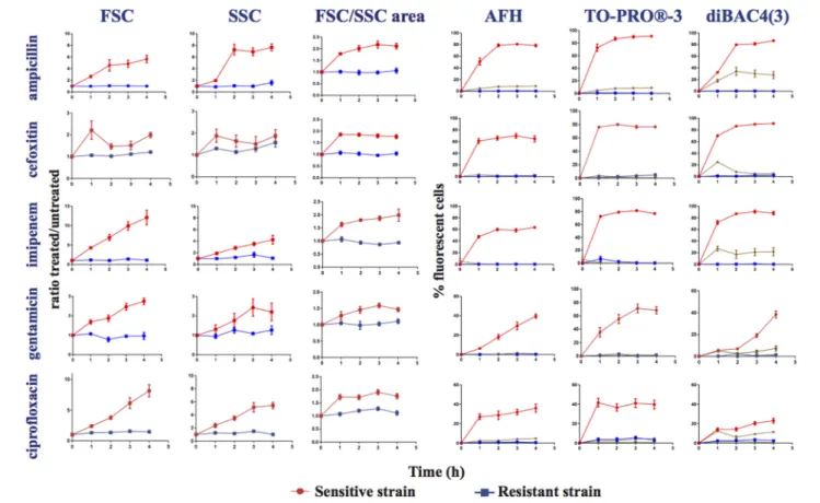 FIGURE 2 | Monitoring alterations of the E. coli strains treated with different antibiotics via flow cytometry