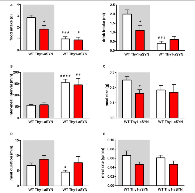FIGURE 3 | Food intake and meal pattern of 6-month-old mice. (A) Thy1-aSYN mice consumed less food and water compared to WT mice during the dark phase.