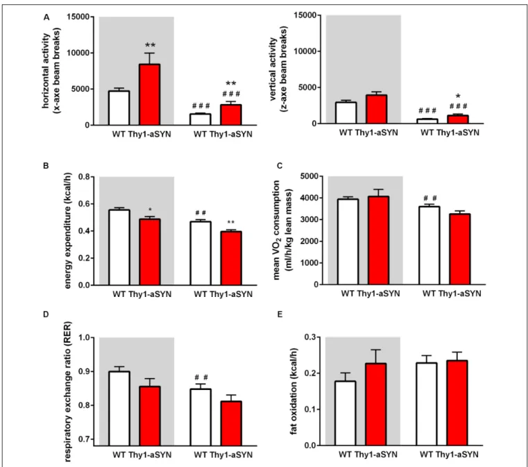 FIGURE 4 | Spontaneous activity and energy metabolism in 6-month-old mice. (A) Horizontal (x-axe) and vertical activity (z-axe) of Thy1-aSYN mice and WT mice.