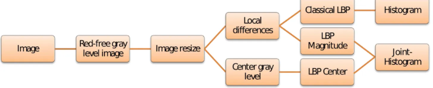 Figure 2. Framework of the proposed method
