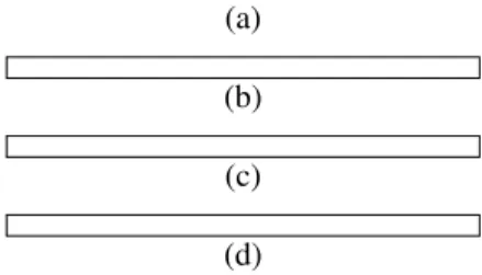 Figure 19: The nuclei architecture and on the left (a) Del α opt representation;