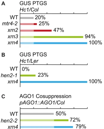 Figure 12. Effect of mtr4 and hen2 mutations on posttranscrip- posttranscrip-tional silencing