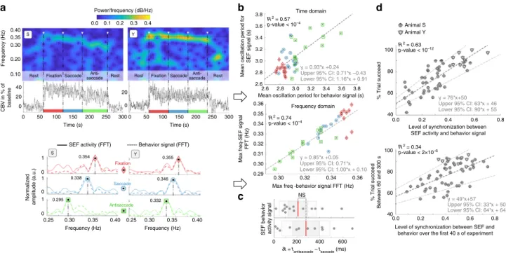 Fig. 3 Relationship between CBV oscillations, behavior and success rate. fUS imaging is able to differentiate the task response times for ﬁ xation/saccade and antisaccade using frequency analysis of CBV changes in the SEF as well as the success rate