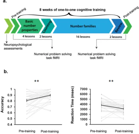 Fig. 1 Cognitive training improves performance on numerical problem solving. a Overall study design