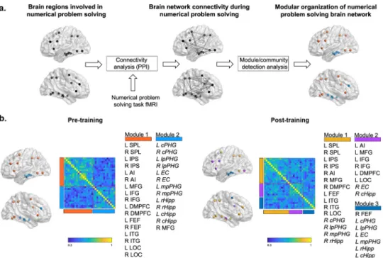 Fig. 3 Cognitive training induces changes in modular brain network organization. a Overall analytical pipeline to compute and compare modularity of brain network organization before and after training