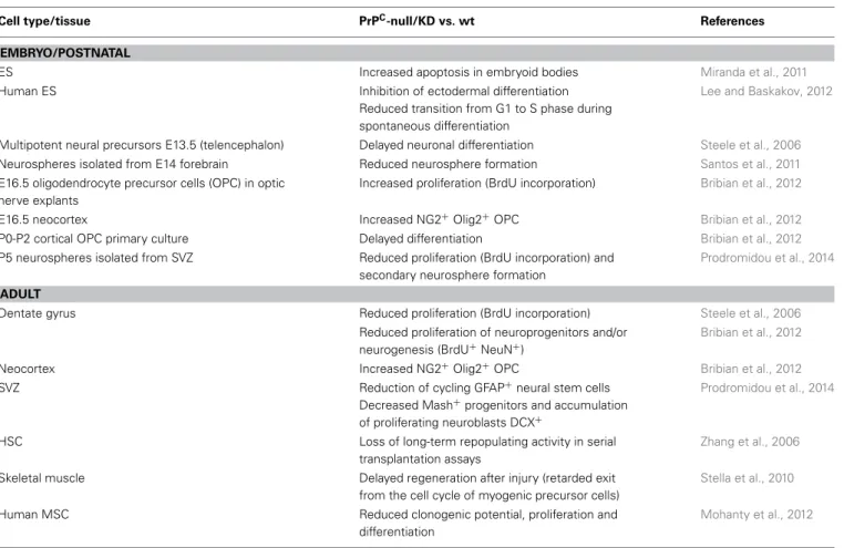Table 1 | Summary of effects of PrP depletion on stem and progenitor cells. C