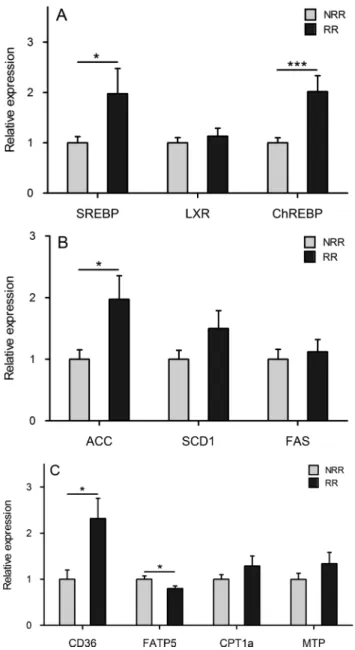 Figure 3 Relative hepatic gene expression analyses of transcription factors (A), lipogenic enzymes (B) and lipids transporters (C)