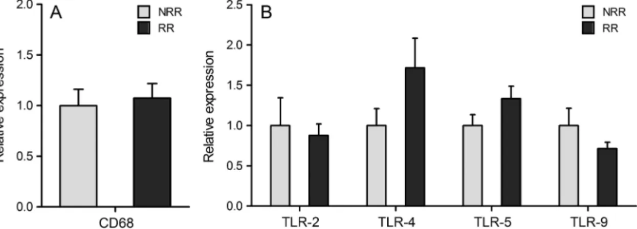 Figure 4 Relative hepatic gene expression analyses of CD68 (A), and Toll-like receptors (TLR) 2, 4, 5 and 9 (B)