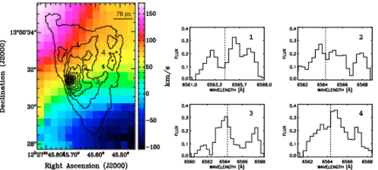 Fig. 5. H α + [N  ] WFPC2-HST contours of the NW nu- nu-clear shell (Kenney &amp; Yale 2002) superposed on the  correspond-ing H α FP coloured velocity field
