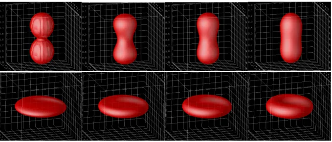 FIGURE 1: Shape optimization for equilibrium shapes of biological shapes. Top pictures: η = 0.8, bottom pictures: η = 0.586