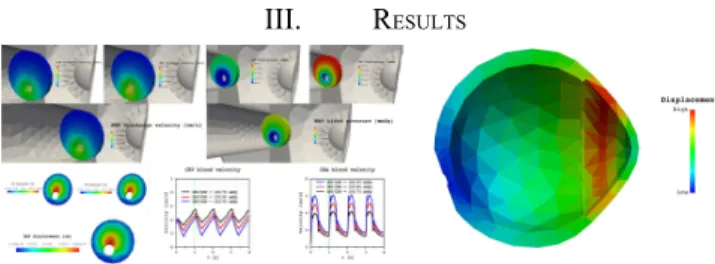 Fig. 3) of MVS can be directly compared to those obtained               via direct imaging modalities [11]