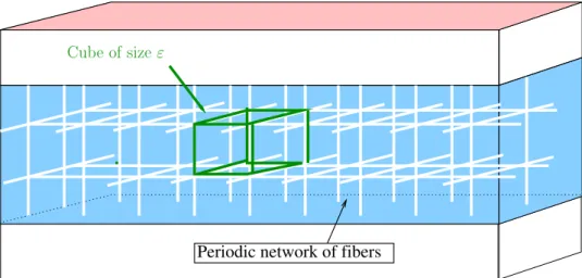 Figure 2: Our schematic representation of the skin: periodic network