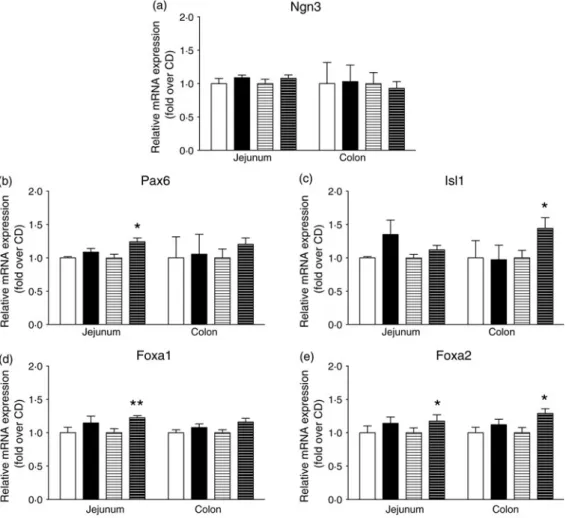 Fig. 4. High-fat diet (HFD) consumption increases the mRNA abundance of transcription factors involved in L-enteroendocrine cell differentiation downstream of neurogenin3 (Ngn3)