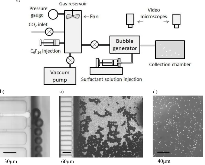 Figure 2:  a)  Schematic  view of the experimental setup b) Bubble production in a single channel of the  micro-fabricated bubble generator
