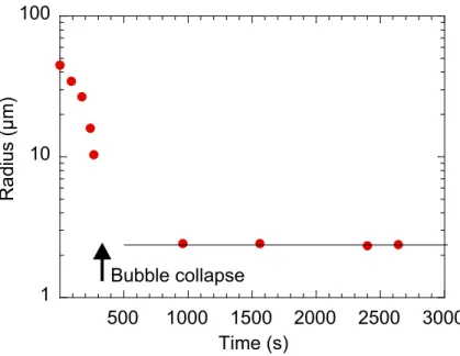Figure 3  Typical time evolution of bubble and droplet sizes, observed in the collection chamber of the  first experimental configuration described in the text