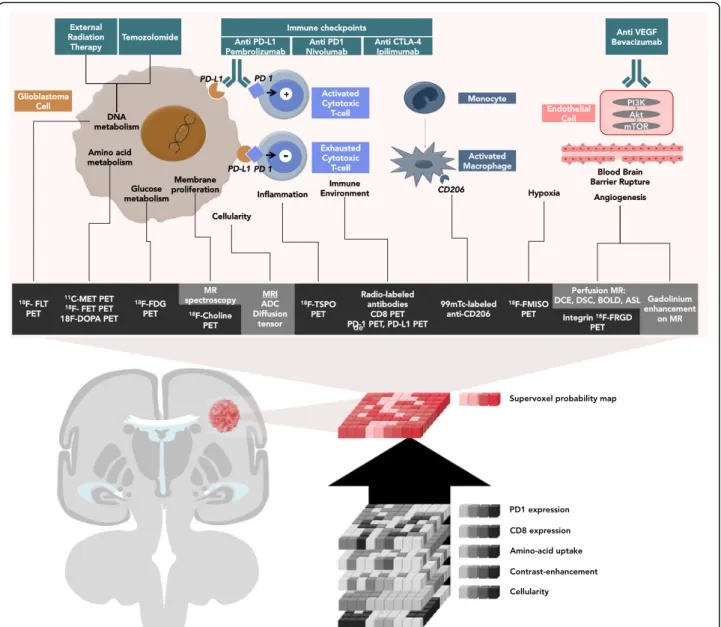 Fig. 1 Imaging of actionable molecular pathways in patients with glioblastoma: the concept of supervoxels