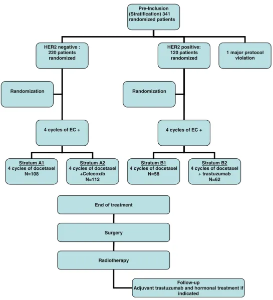 Fig. 1 Flow chart of the REMAGUS 2 trial