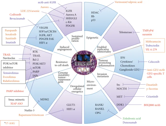 Figure 1: Targets and therapies in preclinical and clinical development in children and adolescent bone sarcomas