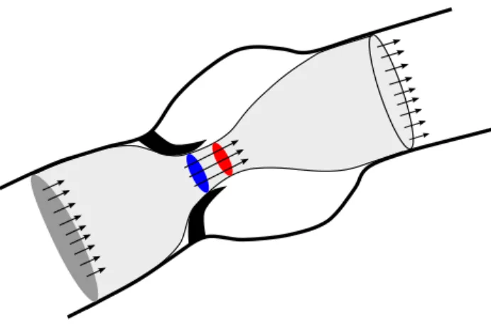 Figure 1: Schematic representation of the aortic valve and of the corresponding jet flow (light grey).