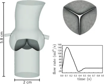 Figure 6: 3D computational domain and inflow waveform. Vessel are partially transparent and leaflets are opaque