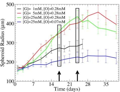 Fig 2. Growth curves of MCTS cultivated under different nutrient conditions. The arrows and boxes indicate the time points where histological images were taken.