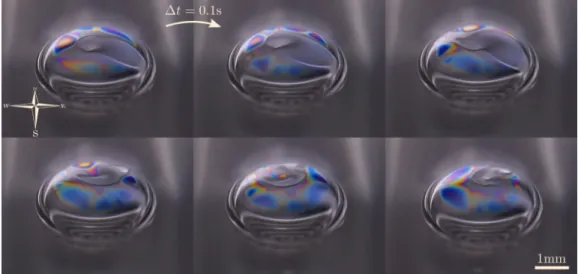 FIG. 1. An air bubble at the surface of isopropyl alcohol that persists for several minutes