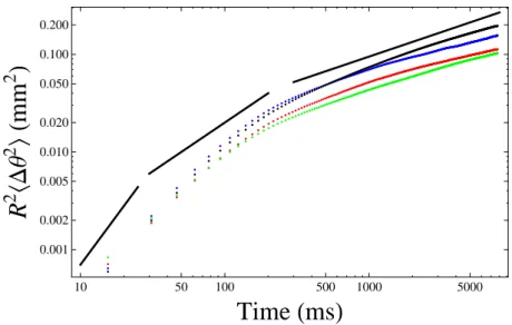FIG. 8: (Color online) Plot of the orthoradial m.s.d. R 2 h ∆θ 2 i (in mm 2 ) as a function of time t (in ms), in a log-log scale, for densities 477 m −1 (blue dots, small annulus, N = 12; black dots, large annulus, N = 27) and 637 m −1 (red dots, small an
