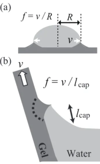 FIG. 7: Qualitative comparison of our geometry with that of ref. [30]. In both cases, the typical scale of the gel deformation is the largest scale available: (a) The radius R for the droplet geometry.