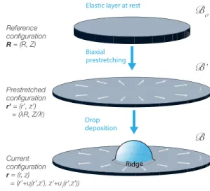 FIG. 1. Schematic representation of the problem. A flat layer with initial thickness H and infinite lateral dimensions (state B 0 ) is first biaxially stretched (state B 0 )