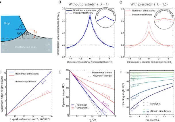 FIG. 2. Comparison between the linear and non-linear elastic models. A: schematic of the region around the elastocapillary ridge with maximum height d, height profile ζ (r 0 ) and opening angle at the tip θ 