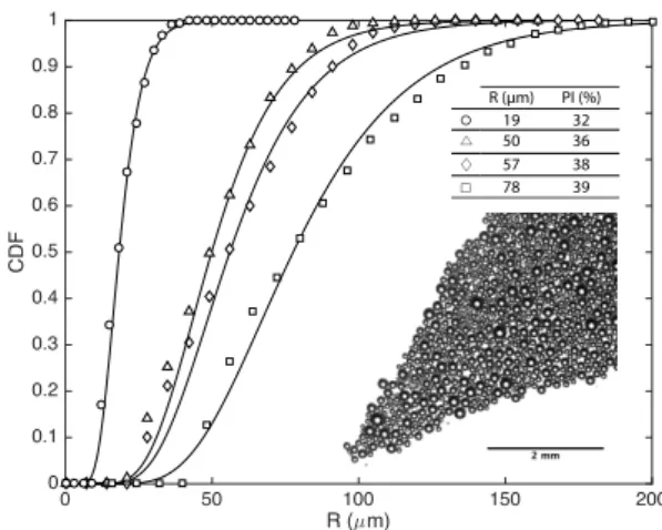 Fig. 1. Four examples of cumulative size distributions, as mea- mea-sured by analysis of 2D rafts, such as the one depicted in the inset (here for the distribution shown by triangles)