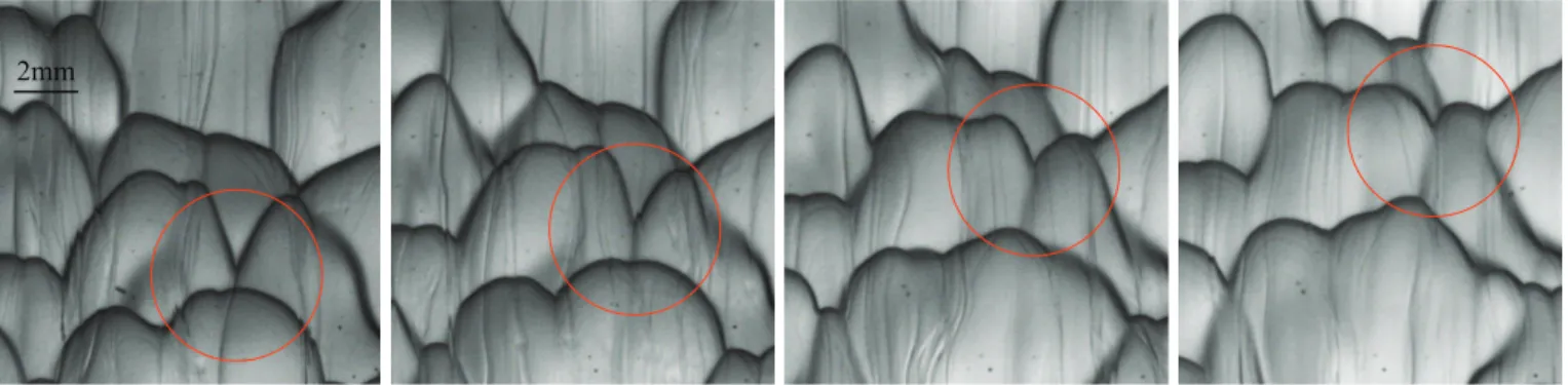 FIG. 9. Pattern dynamics. Bottom view of a caramel block dissolving into water. A V-shape pointing downstream vanishes.