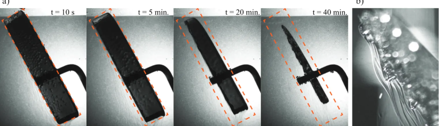 FIG. 1. a) Side view of a caramel block dissolving into water. The initial block is 6 cm-long and makes an angle of 62 ◦ with the horizontal