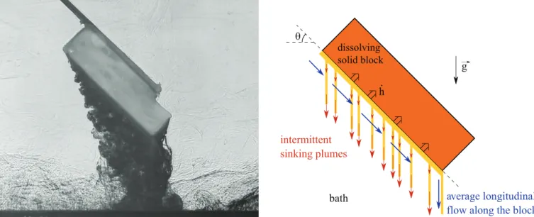 FIG. 3. Left: Schlieren picture of a salt block dissolving into water. The block is 9 cm long and makes an angle of 45 ◦ with the horizontal