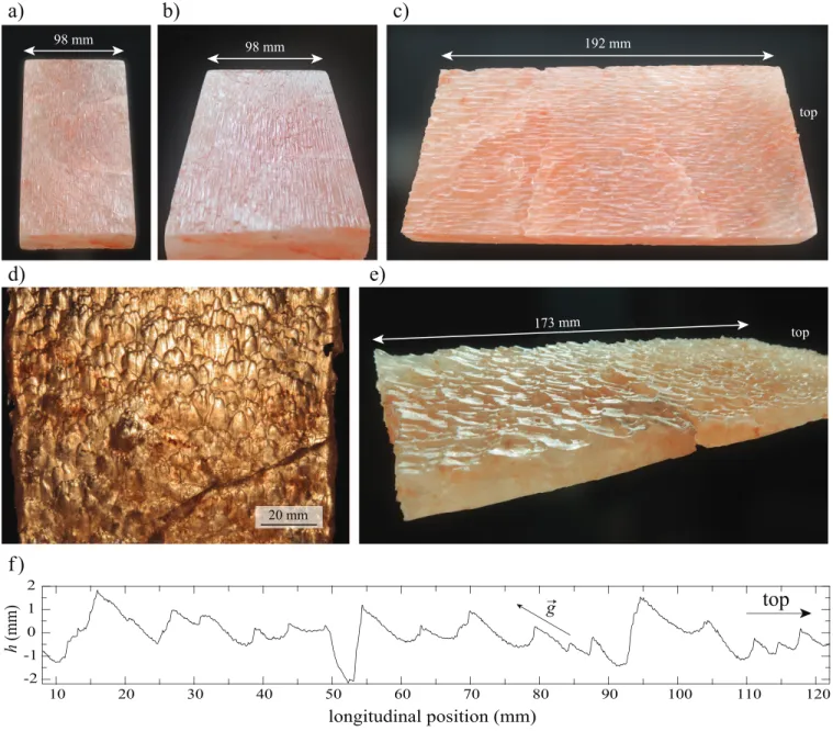FIG. 5. Pattern formation. Bottom view of a salt block after 5 min. (a), 10 min. (b), 20 min