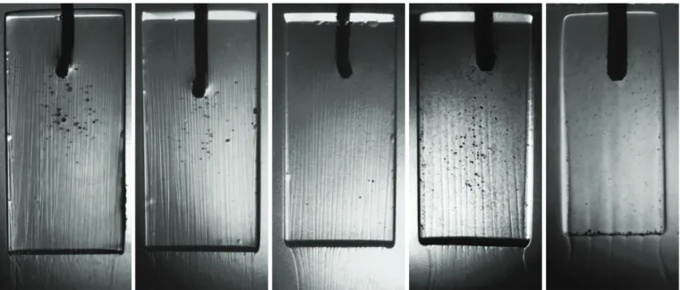 FIG. 6. Bottom view of caramel blocks (55 × 25 mm) dissolving into aqueous solutions of different caramel concentration.