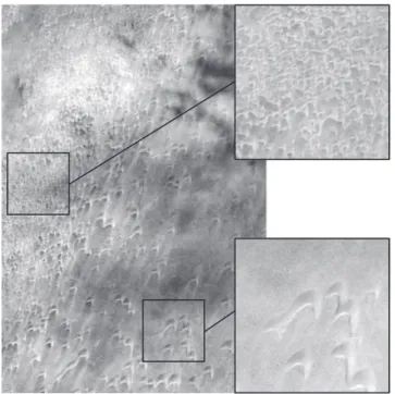 Figure 1. La’ayoune desert in south of Morocco (27.3 ı N, – 13.21 ı E), in which (top left) dense regions coexist with (bottom right) sparse regions