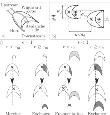 Figure 2. Elementary rules for barchan ﬁeld modeling (a) Morphology of a barchan. (b) Parameters used to describe an interaction: two dunes of size w i and w j interact when they are closer than d 0 and within a cross section of  ij 