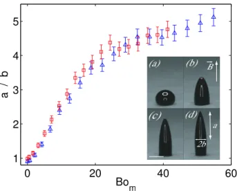 FIG. 2. Deformation and instability of the magnetic capillary origami as the vertical magnetic field is increased: B = 0 (a), 150 (b), 400 (c), and 600 G (d) corresponding to Bo m = 0, 10, 48, and 84 respectively