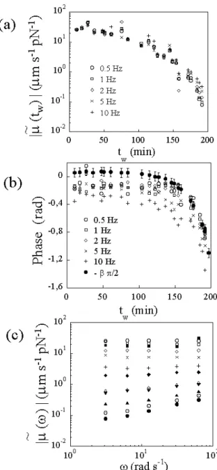 Fig. 3. Modulus (a) and phase (b) of the complex mobility ˜ µ(ω) = |˜ µ(ω)|e iϕ(ω) of the bead as a function of t w , for various frequencies of the applied force; (c) mobility modulus versus ω for various t w ; from top to bottom, t w varies from 8 to 191
