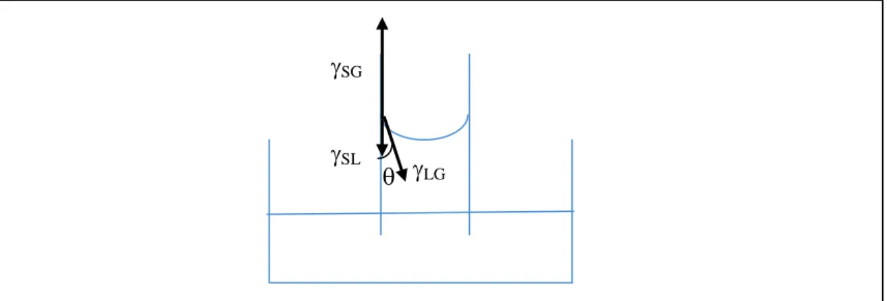 Figure 1. A commonly used diagram to introduce Young's formula  LG  cos =  SG  -  SL,  where