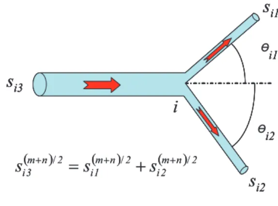 Figure 1: Relation between cross-sectional areas of adjoining channels in a minimal resistance network