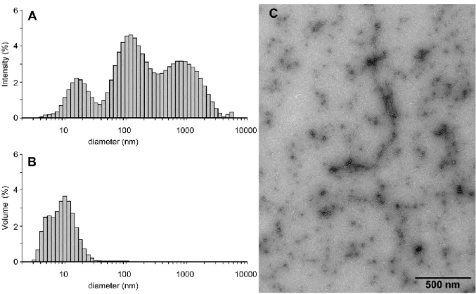 Fig.  1.  Aggregation  state  of  9  hours-aged  A(1-42).  DLS  profiles  of  ca.  9  hours-aged  A 