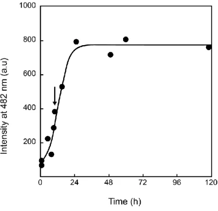 Fig.  2  Thioflavin  binding  to  A(1-42).  Thioflavin  fluorescence  intensity  as  a  function  of  A(1-42)  pre-incubation  time  at  37°C