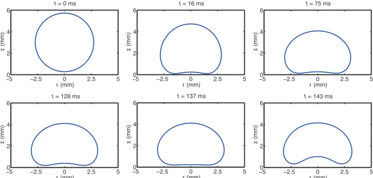 FIG. 12. (Color online) Time sequence from the evolution of the oscillatory instability of a levitated drop