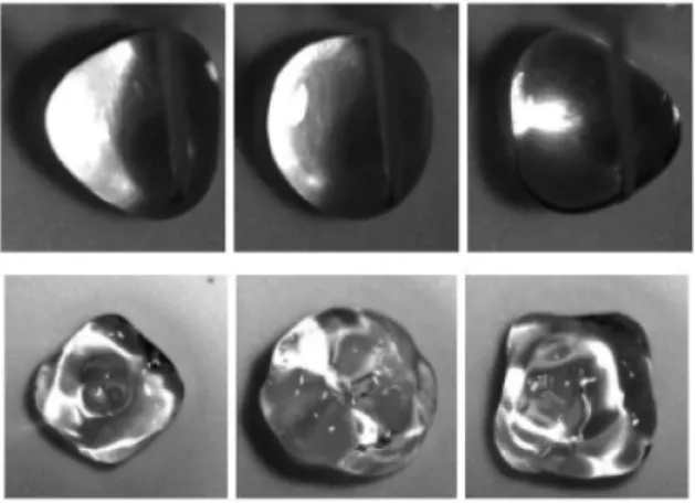 FIG. 2. (Color online) Numerical implementation of the drop levitated by an airflow with uniform upward flow velocity U g 