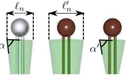 Figure 3. First lipid (light grey): non-modified lipid. The length ℓ n represents the preferred diameter per lipid on the neutral surface, while the angle α quantifies the preferred curvature