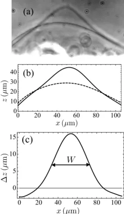 Figure 7. (a) Superposed pictures of a GUV before the deformation and in the most deformed state (GUV 2, experiment number 6)