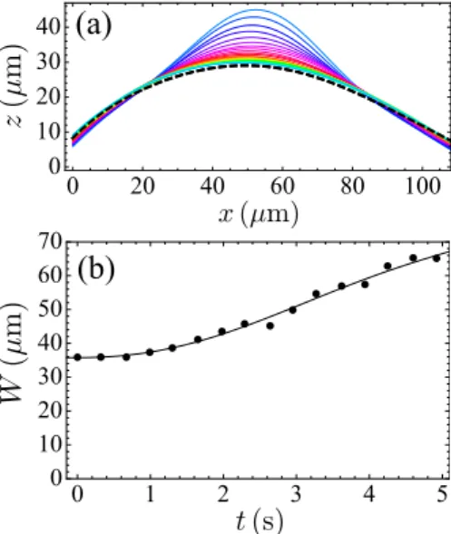 Figure 9. (a) Time evolution of the vesicle shape during a typical “pulse”