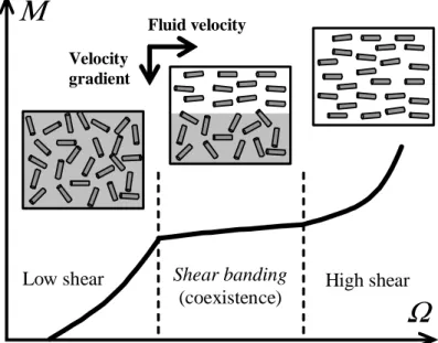 Figure 1  Quemada and Berli 2008  Fluid velocity  Velocity  gradient Μ Ω Shear banding 